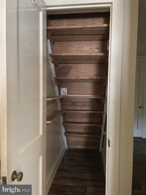 10549 Georgetown Road Laurel, DE 19956 - Photo 17 of 25 Closet under stairway