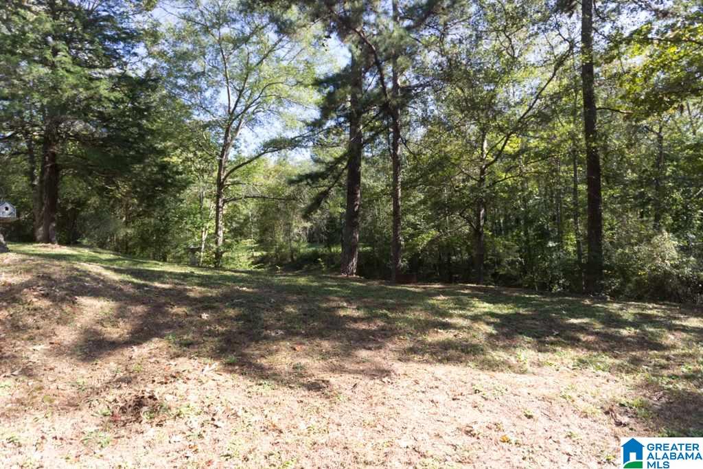 359 Jewell Road, Unit 1 73 Oxford, AL 36203 - Photo 8 of 46