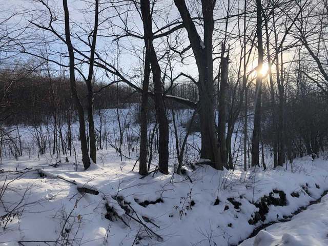 2455 Norberg Road Russell, PA 16345 - Photo 16 of 17 Gallery Image 16