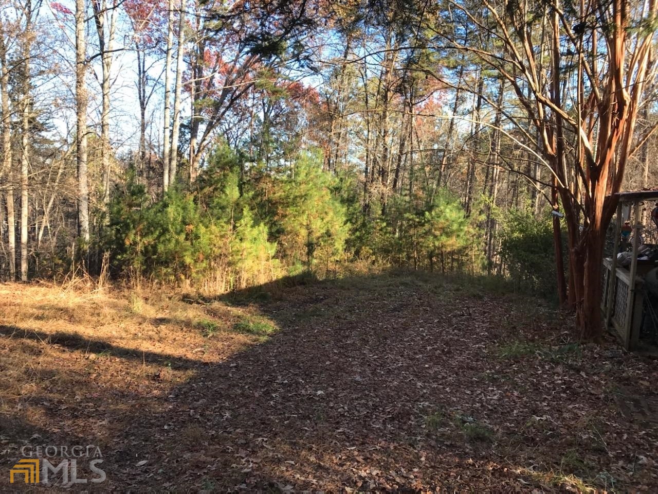 105 Rusty G Place Dawsonville, GA 30534 - Photo 1 of 1 a view of outdoor space and trees