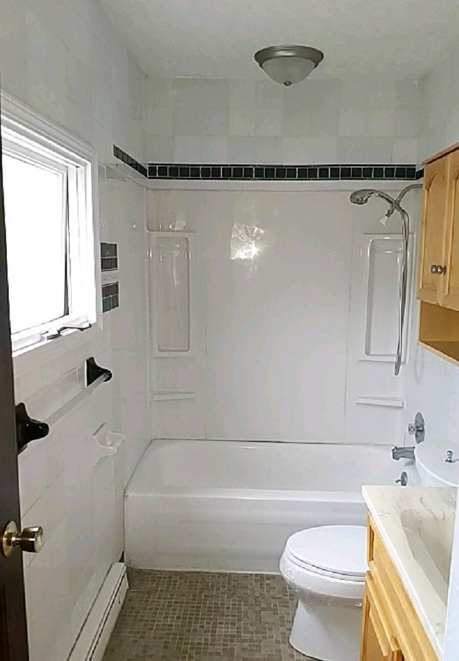 620 Lake Summerset Road Davis, IL 61019 - Photo 9 of 15 a bathroom with a sink a toilet and a bathtub