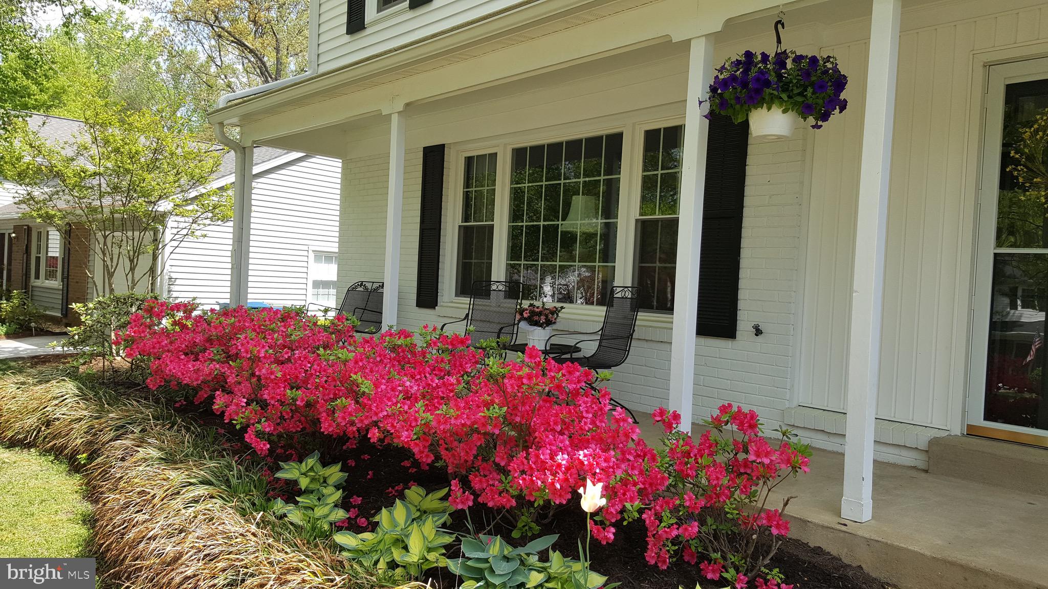 7811 Cliffside Court Springfield, VA 22153 - Photo 3 of 53 Beautiful Landscaping