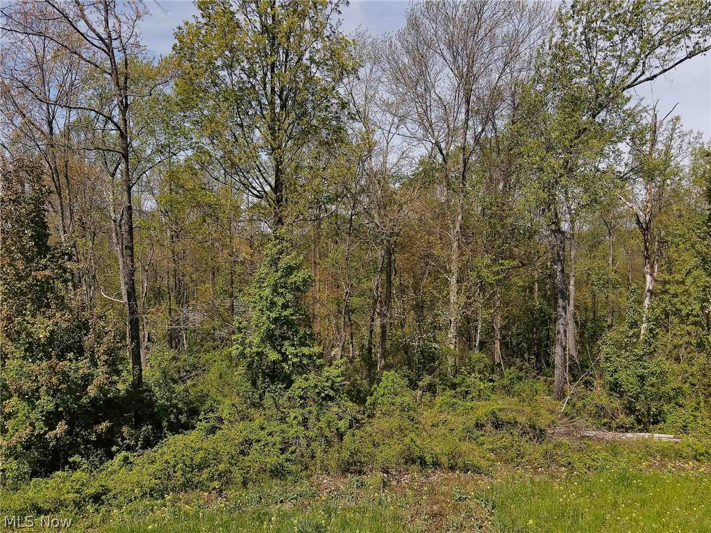 59010 Eldon Road Quaker City, OH 43773 - Photo 17 of 35 Gallery Image 17