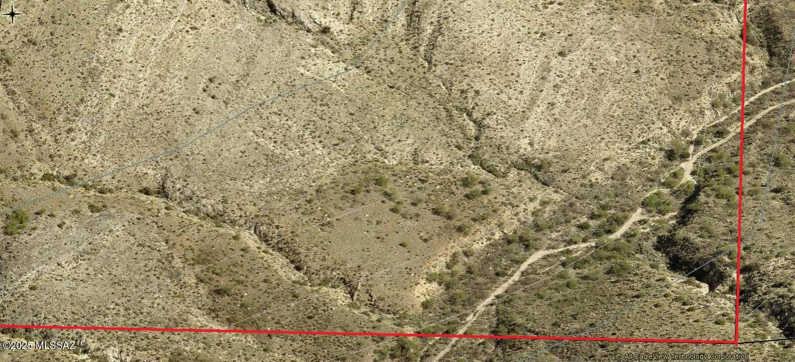 18019 East Hilton Ranch Road Vail, AZ 85641 - Photo 15 of 20 a close up of a plant