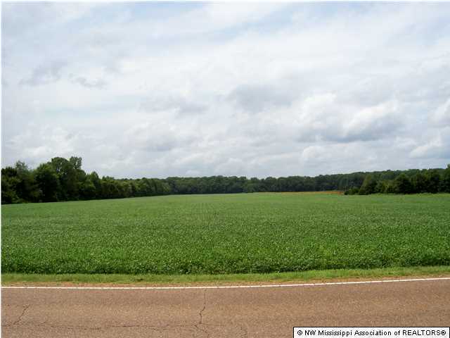0 Craft Road Hernando, MS 38632 - Photo 1 of 1 Primary Photo