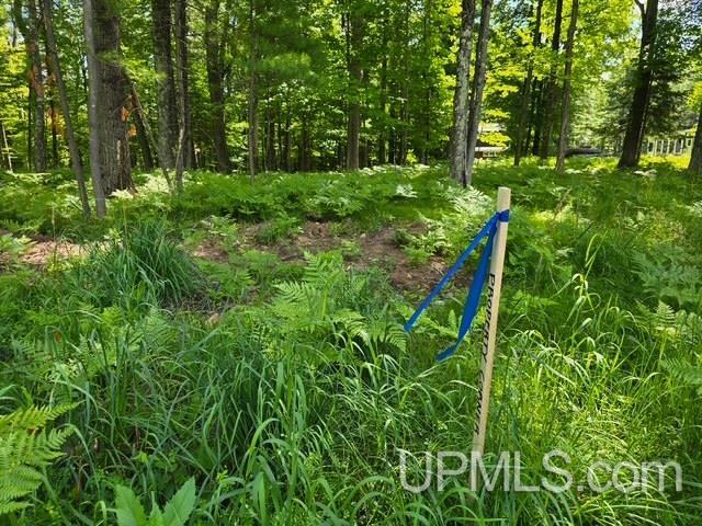 Tbd East Tbd E Bar D Ranch Road Iron Mountain, MI 49801 - Photo 1 of 3