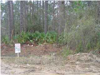 1 Indian Woman Road Santa Rosa Beach, FL 32459 - Photo 1 of 1 a view of a forest filled with trees