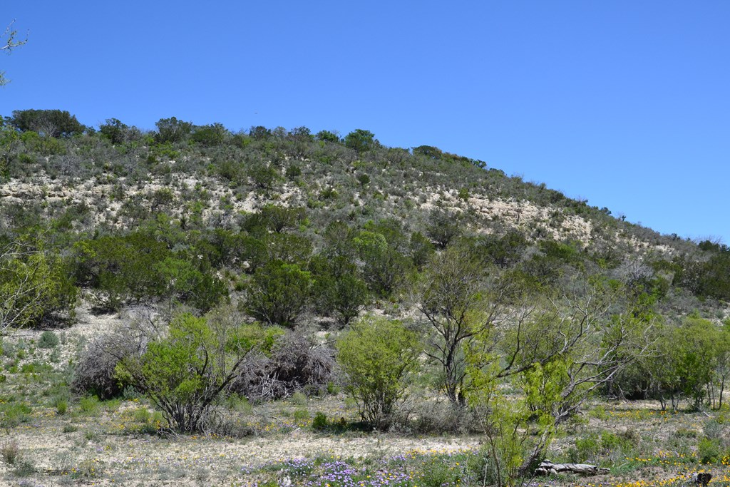 1147 Kc 311 Junction, TX 76849 - Photo 4 of 9