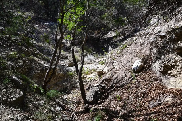 $630,000 | 1147 Kc 311, Junction, TX 76849