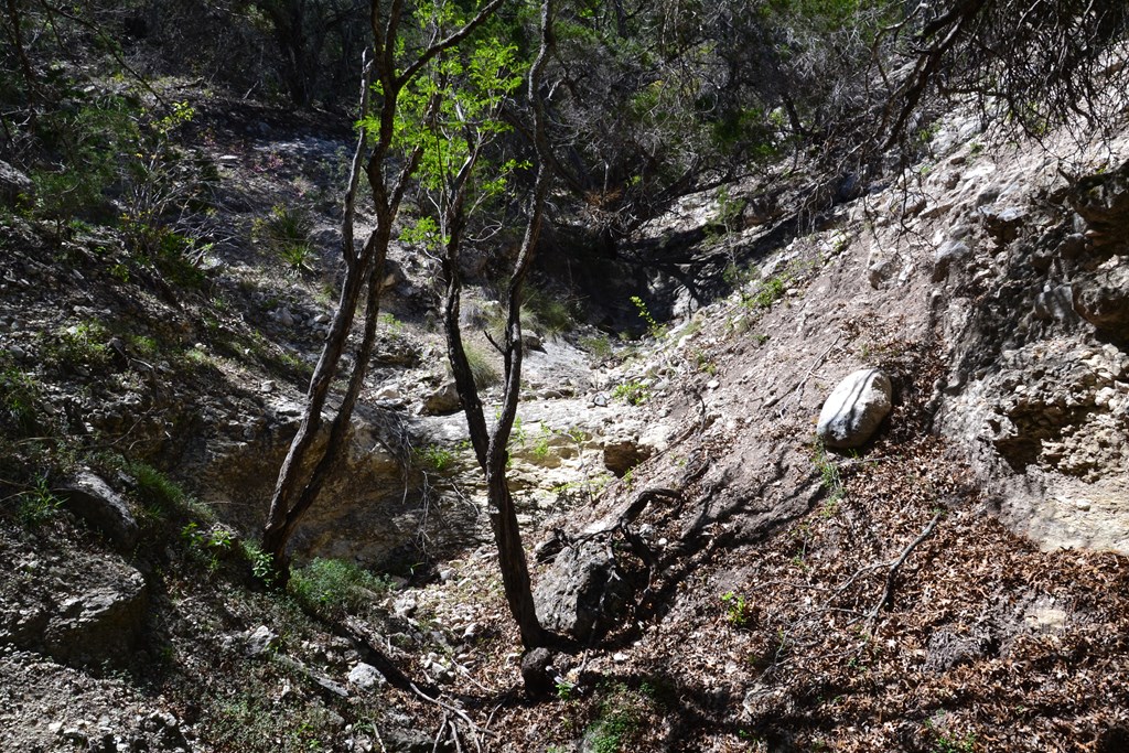 1147 Kc 311 Junction, TX 76849 - Photo 6 of 9