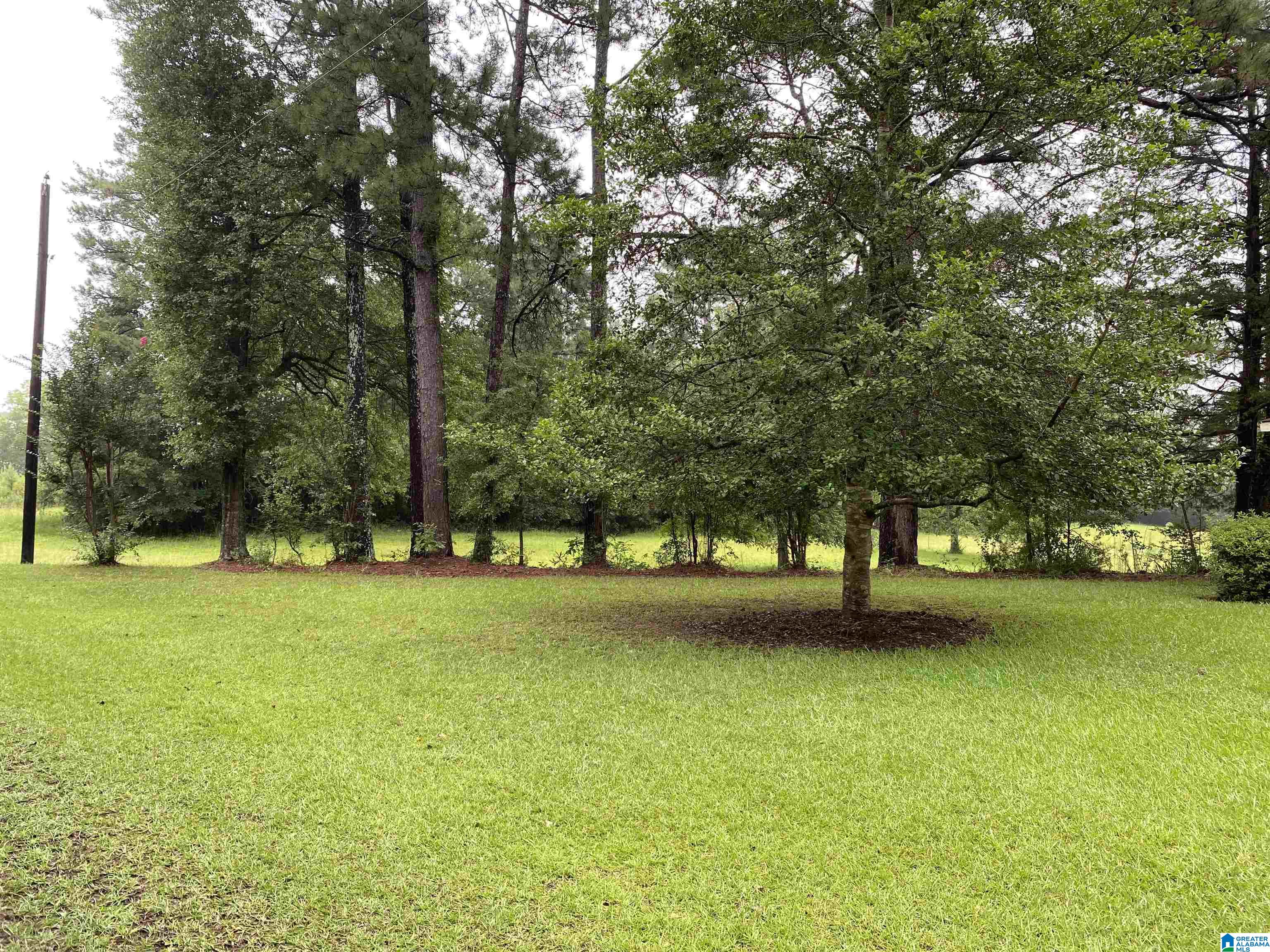 80 Old Collins Chapel Road Thorsby, AL 35171 - Photo 18 of 25
