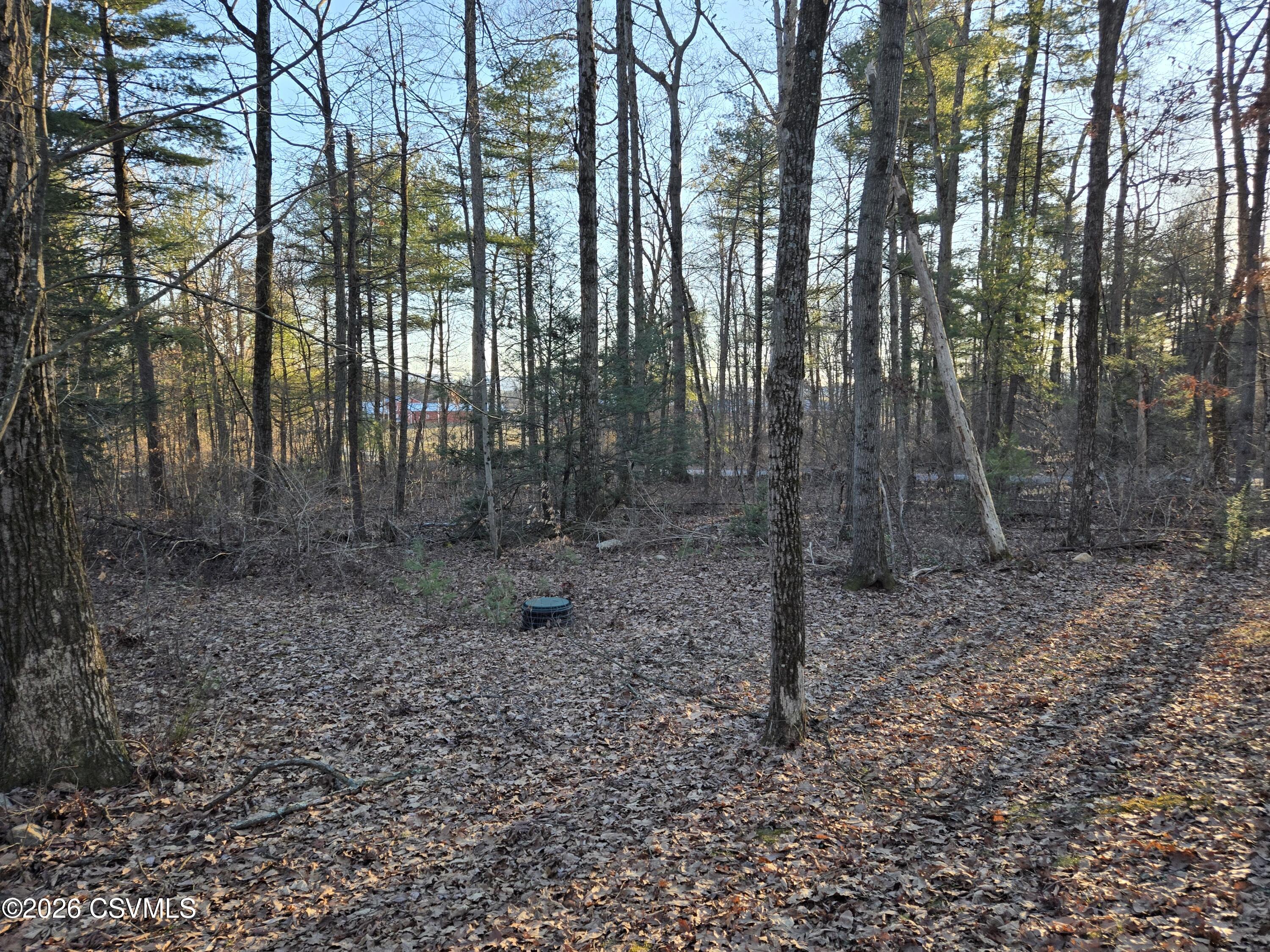 Lot 4 Diehl Road Mifflinburg, PA 17844 - Photo 5 of 10