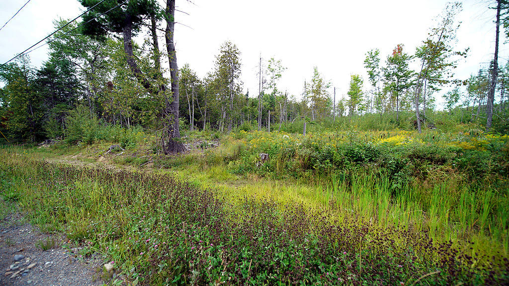 Lot 4 Callaghan Road Houlton, ME 04730 - Photo 20 of 23 davis-callaghan-rd-land-4