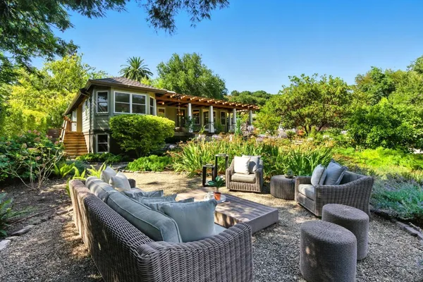 a view of a garden with plants