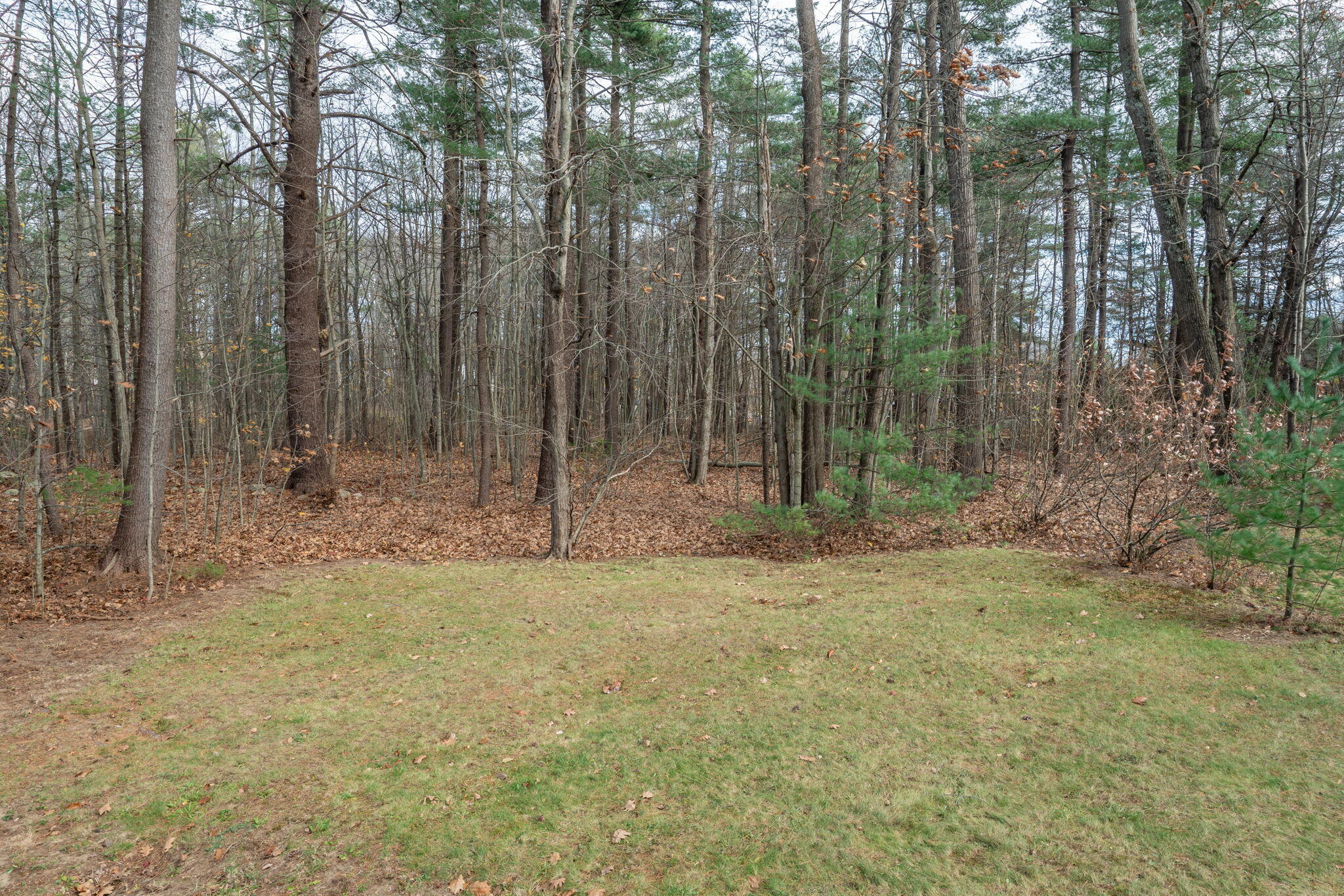 24 Shingle Way Portland, ME 04103 - Photo 8 of 66 17-web-or-mls-24 Shingle Way-17