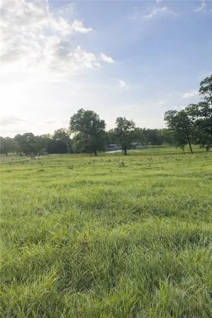 a view of a field with an trees