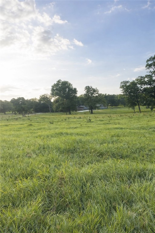 7031 Red Rock Road Franklin, TX 77856 - Photo 15 of 17 a view of a field with an trees