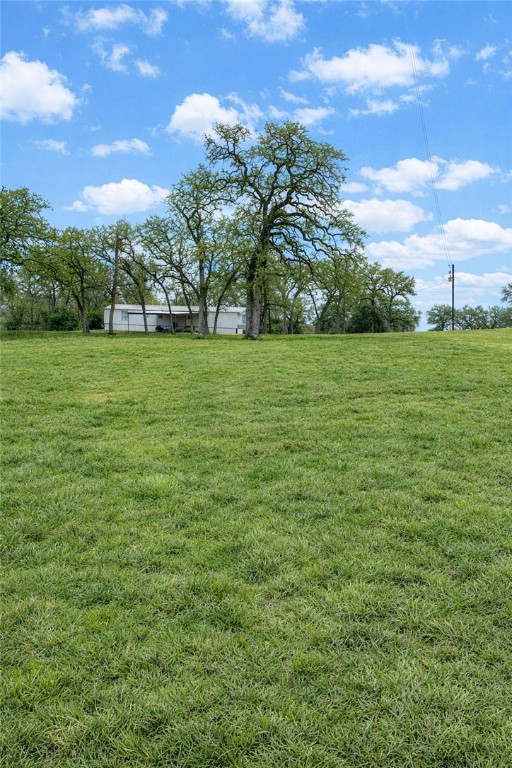 7031 Red Rock Road Franklin, TX 77856 - Photo 3 of 17 a view of a field with an trees
