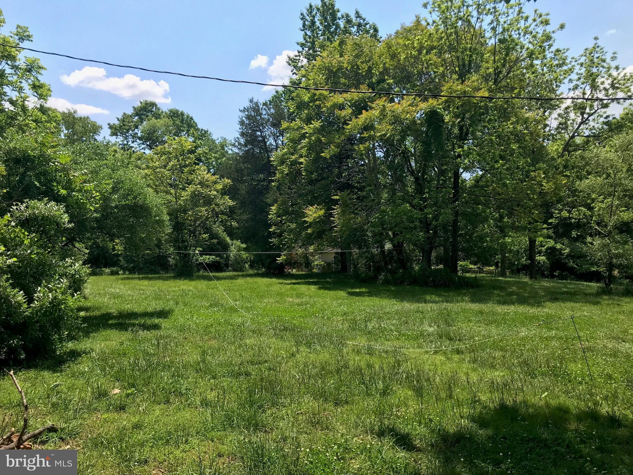 5476 Turkey Run Road Warrenton, VA 20187 - Photo 13 of 15 front yard 2