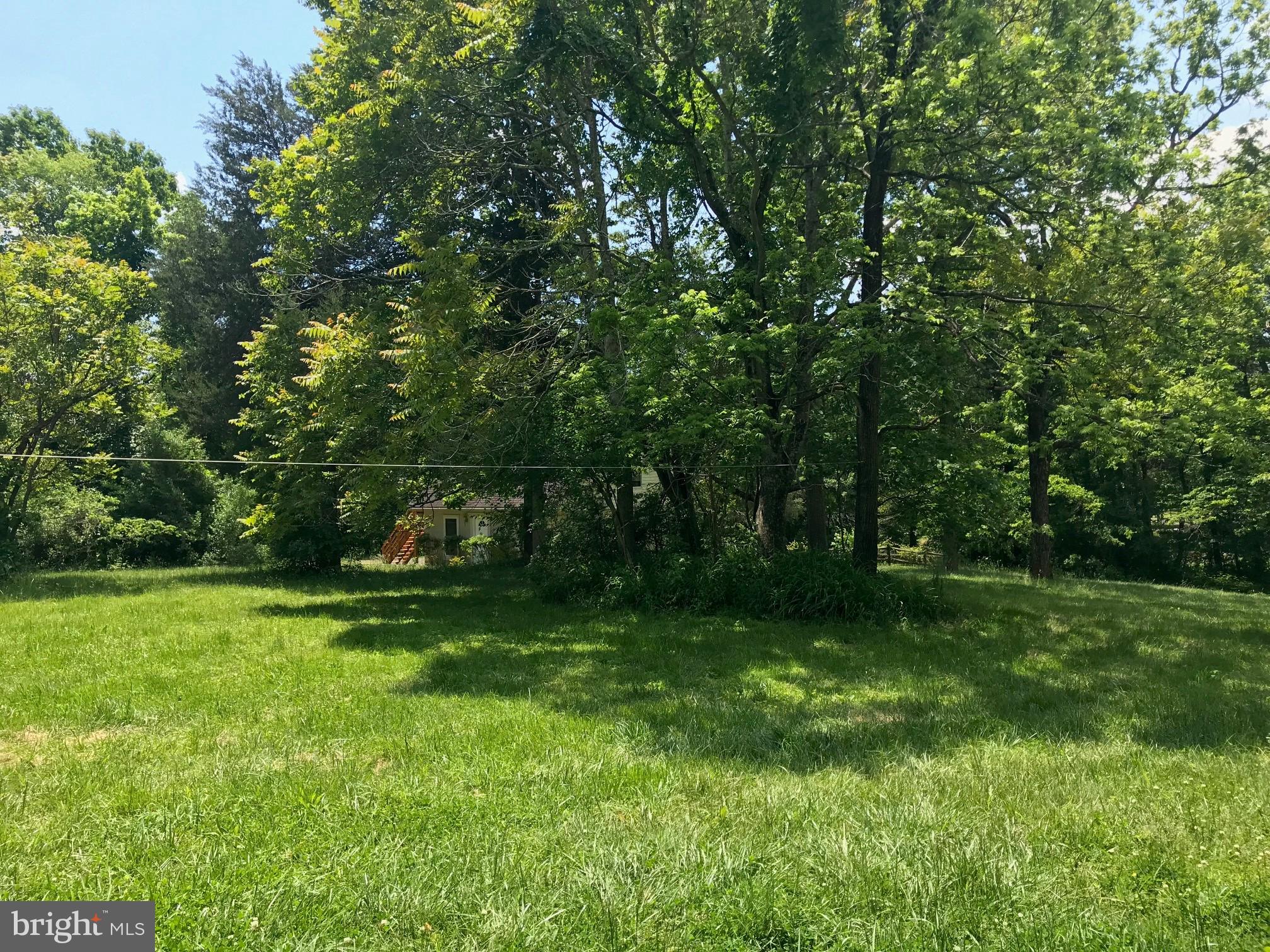 5476 Turkey Run Road Warrenton, VA 20187 - Photo 15 of 15 mature trees