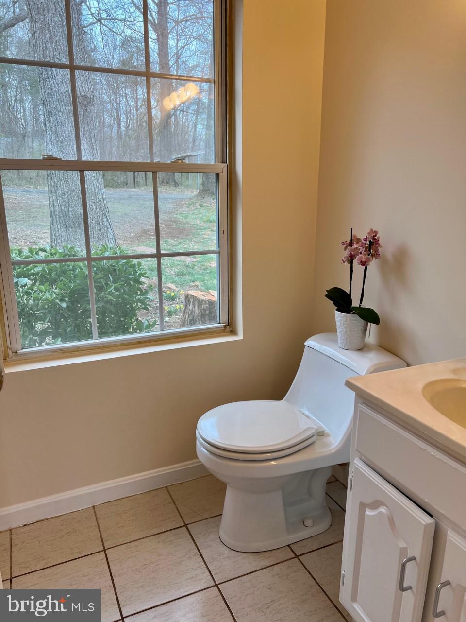 5476 Turkey Run Road Warrenton, VA 20187 - Photo 4 of 15 One Bath w Tub