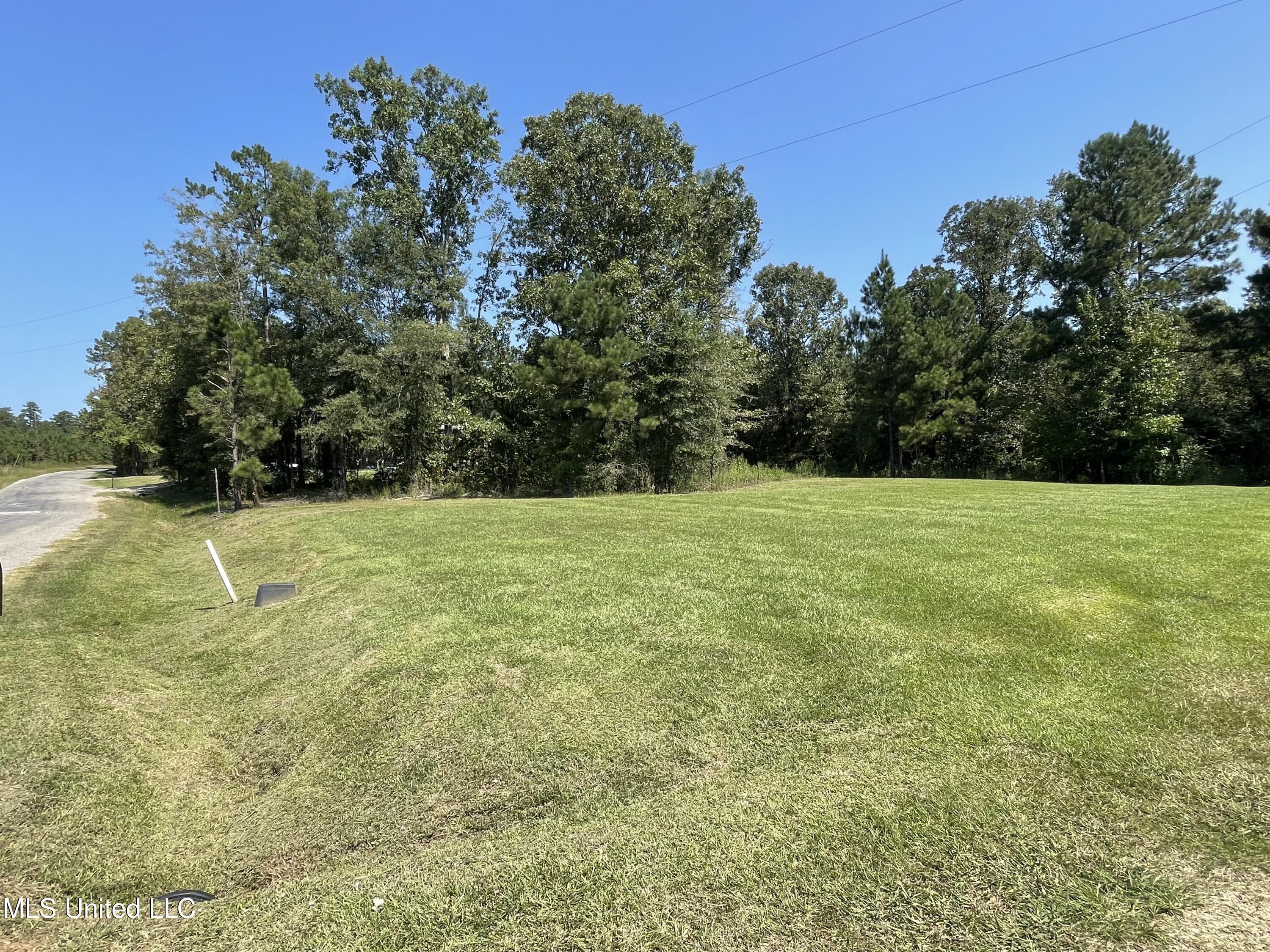 222 Greytown Road Lake, MS 39092 - Photo 14 of 16 79F98FB8-6459-4389-AB14-0346FD2C0E56