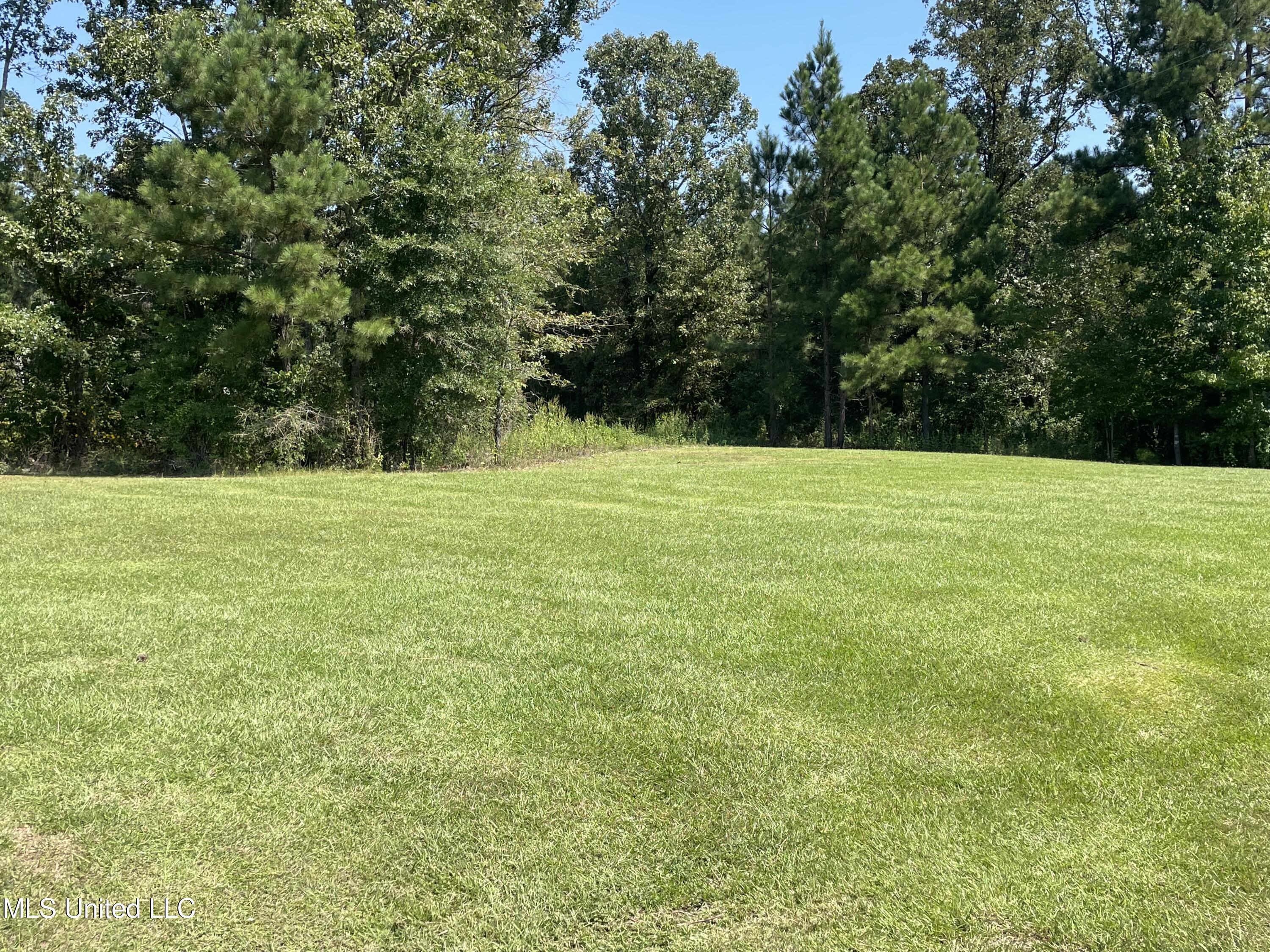 222 Greytown Road Lake, MS 39092 - Photo 16 of 16 DFE562F1-705F-4AD1-A95F-539C21E32B37