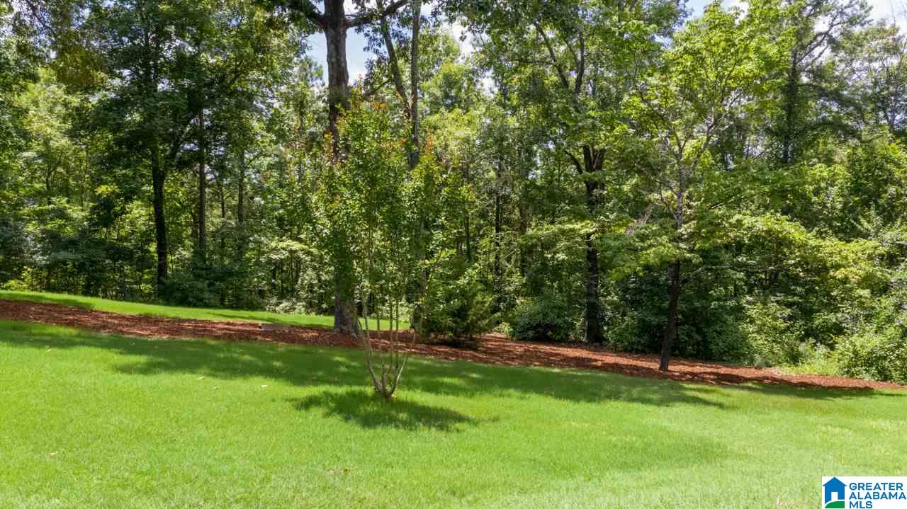 132 Chestnut Drive Alabaster, AL 35007 - Photo 44 of 49