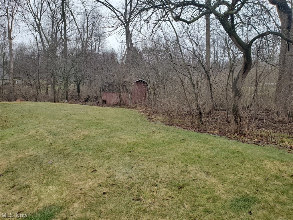 460 Aurora Hudson Road Aurora, OH 44202 - Photo 40 of 44 THIS SPACIOUS LOT HAS A STORAGE SHED.