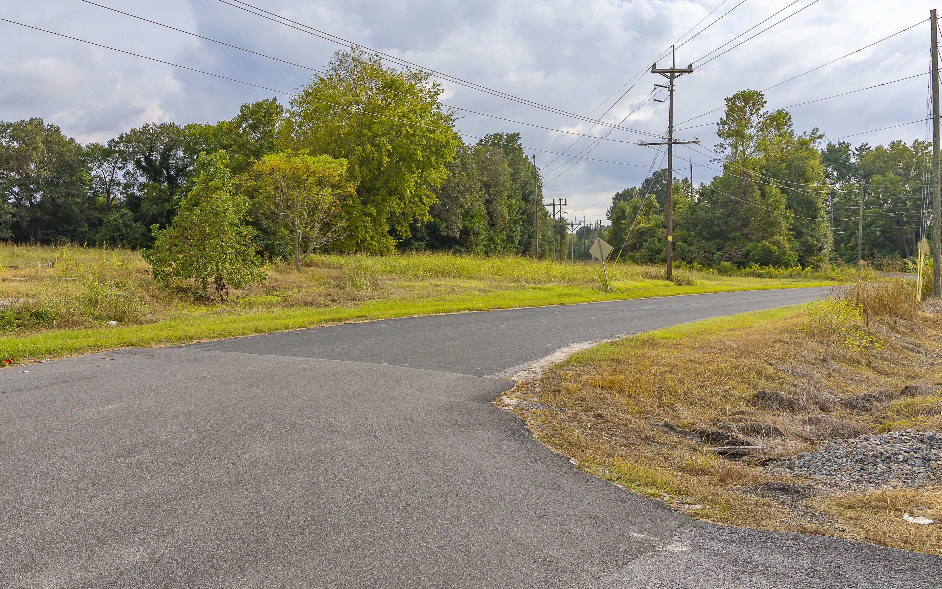 -tbd South Locust Avenue South Denmark, SC 29042 - Photo 9 of 33 South Locust Avenue 9.27.25-02