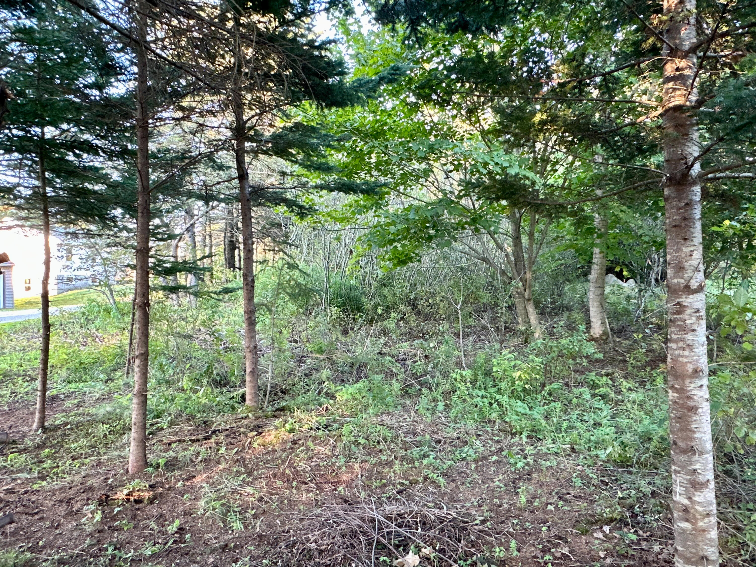 16 Eaton Point Road Deer Isle, ME 04627 - Photo 42 of 62 IMG_7580