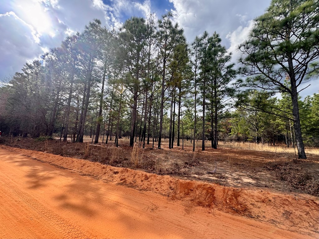 0 Simmons Road Mauk, GA 31058 - Photo 2 of 11 a view of road with trees