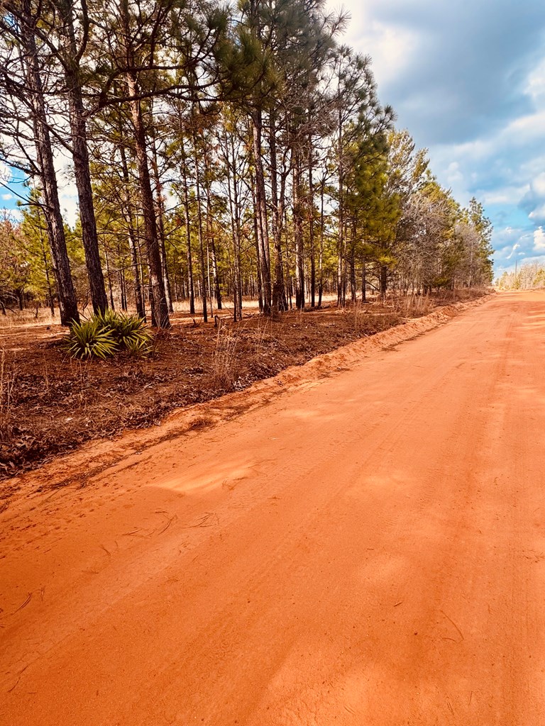 0 Simmons Road Mauk, GA 31058 - Photo 3 of 11 a view of road and trees