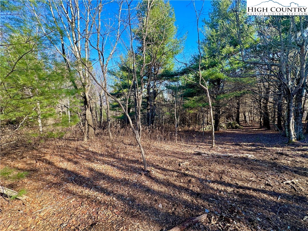 Don Hayes Road Boone, NC 28607 - Photo 16 of 26 Gallery Image 16