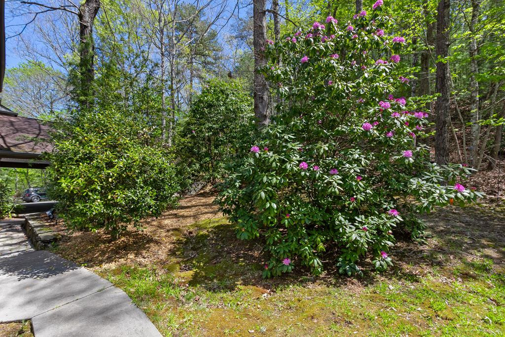 1240 Village Road Murphy, NC 28906 - Photo 74 of 83