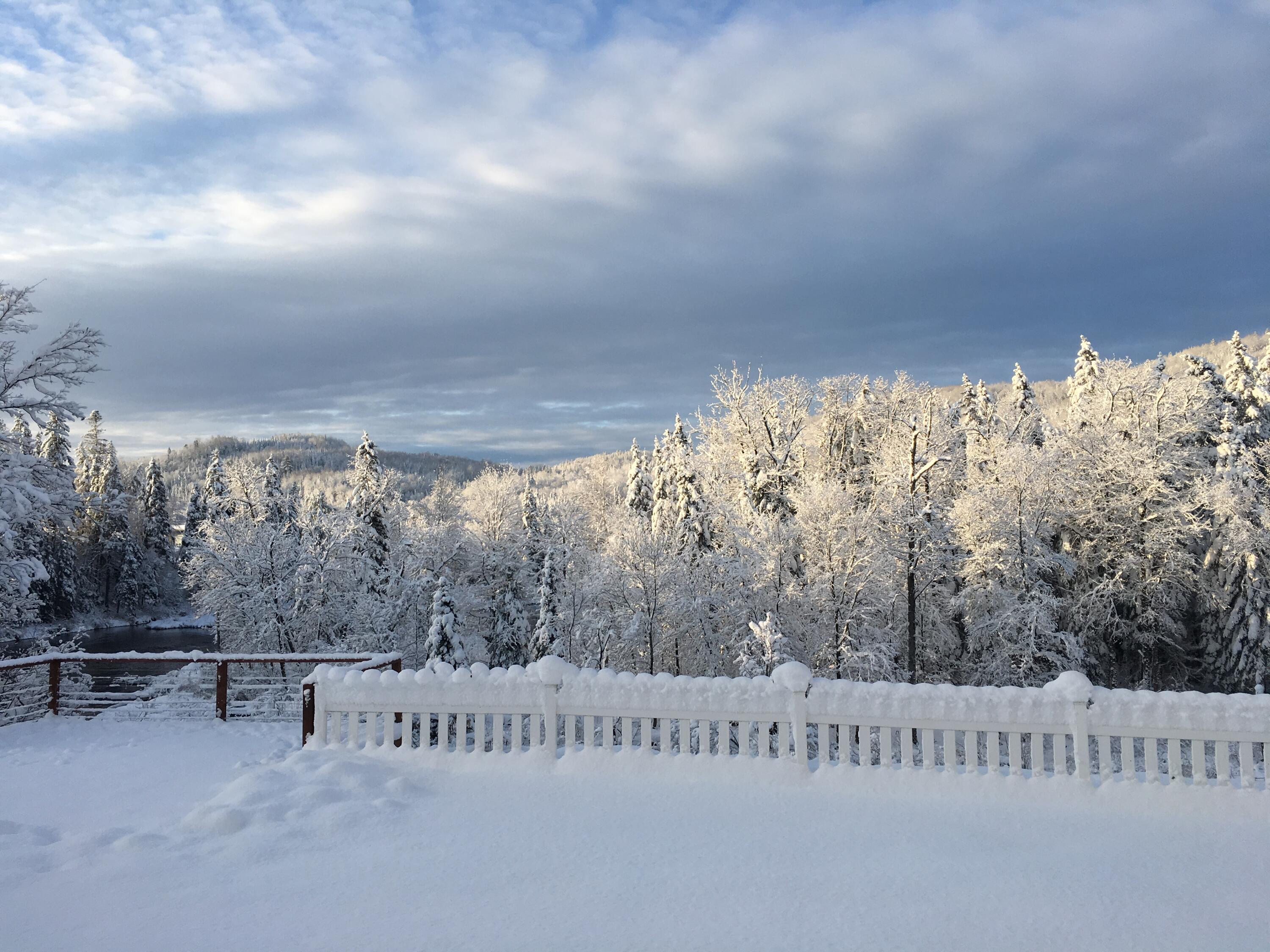 305 Market Street Fort Kent, ME 04743 - Photo 11 of 58 Backyard winter wonderland
