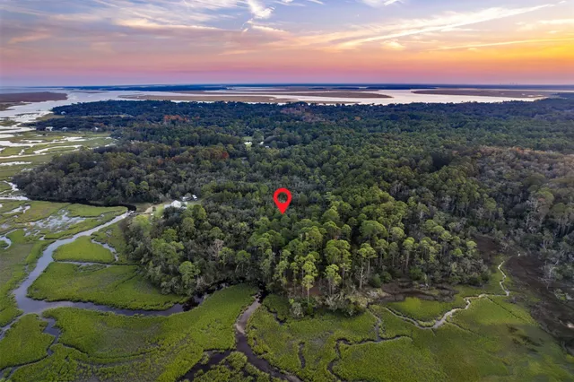 a view of a lake with a city