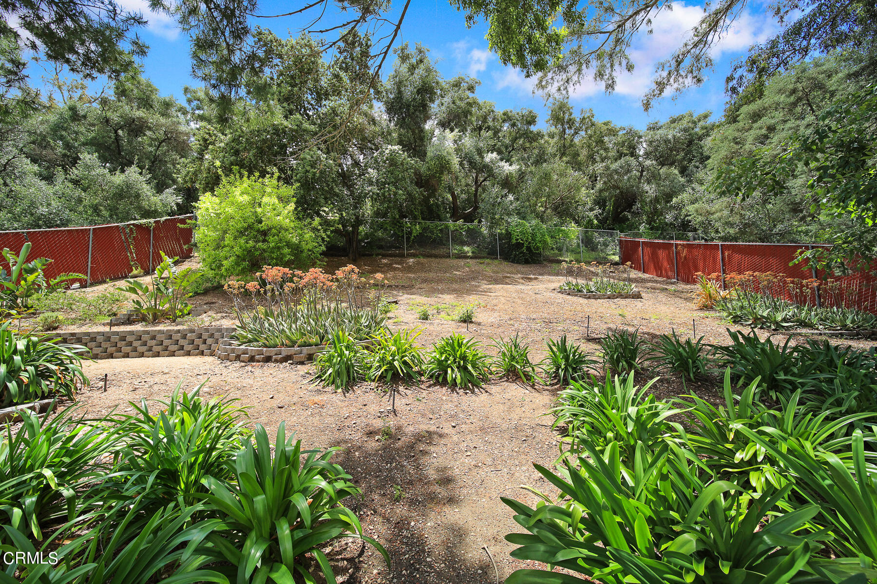 9765 Tujunga Canyon Boulevard Tujunga, CA 91042 - Photo 31 of 51 a view of a backyard