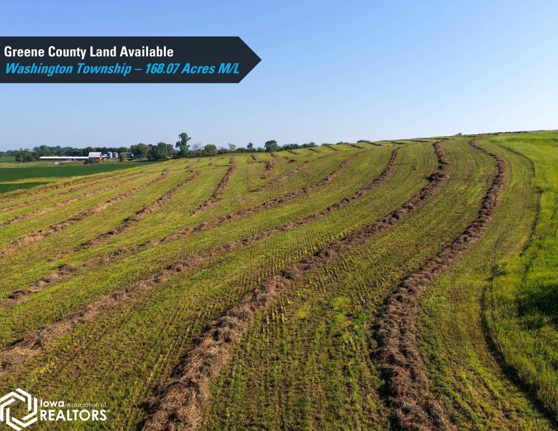 Terrace Avenue Rippey, IA 50235 - Photo 6 of 26 Gallery Image 6