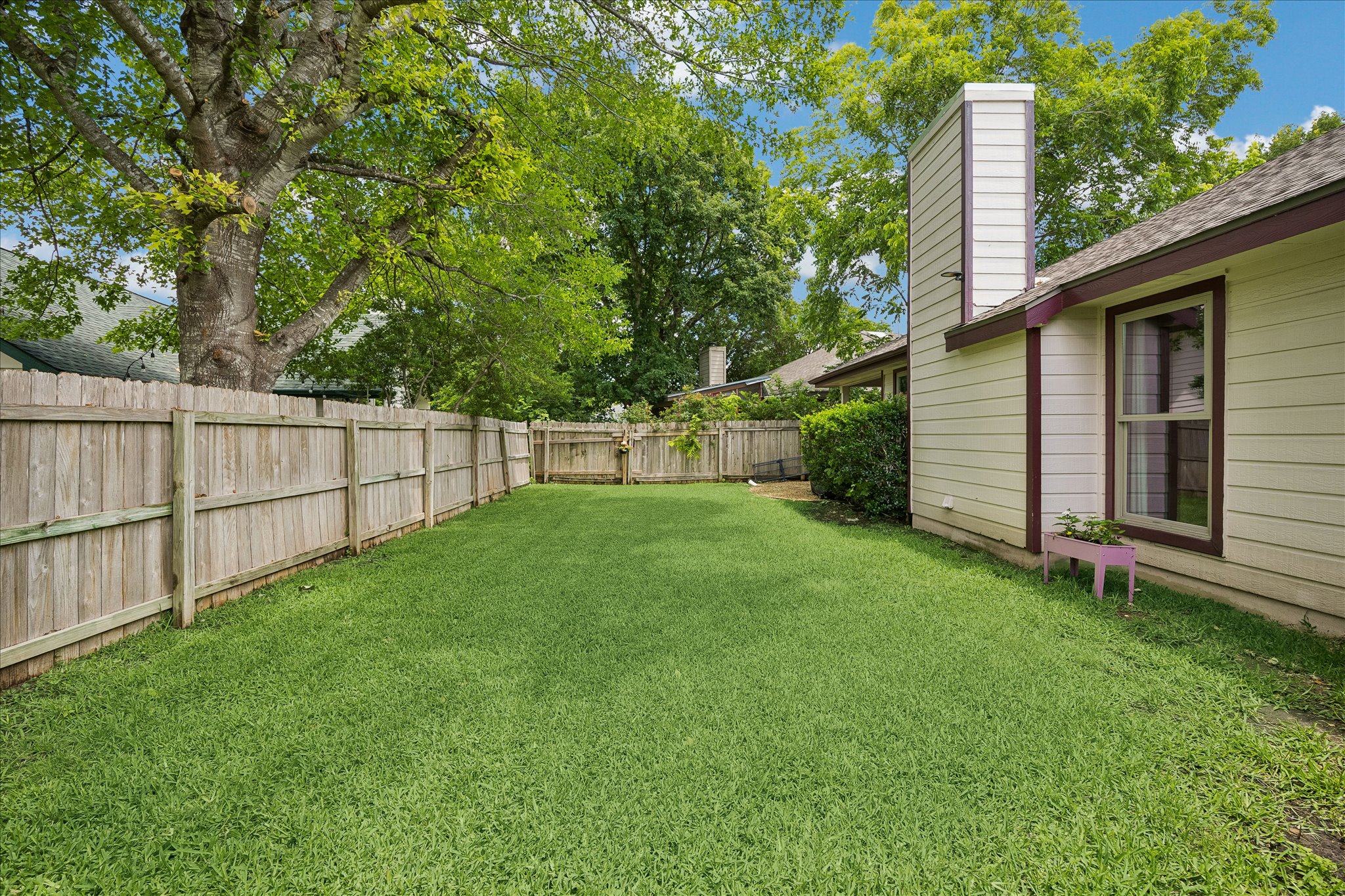 111 Finch Lane Georgetown, TX 78626 - Photo 30 of 31