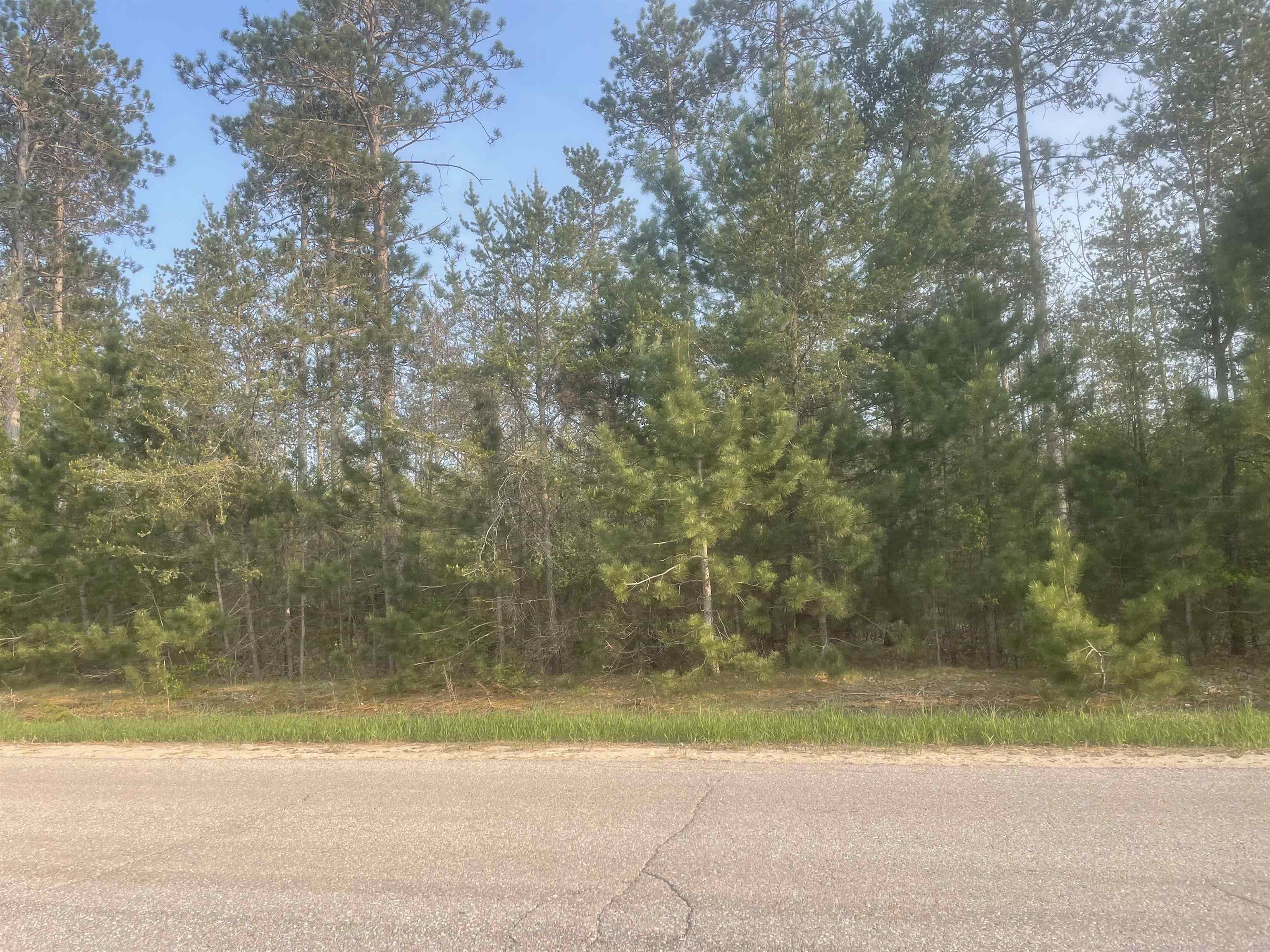 Lot G Lot G Riley, Unit LOT: G Interlochen, MI 49643 - Photo 6 of 10