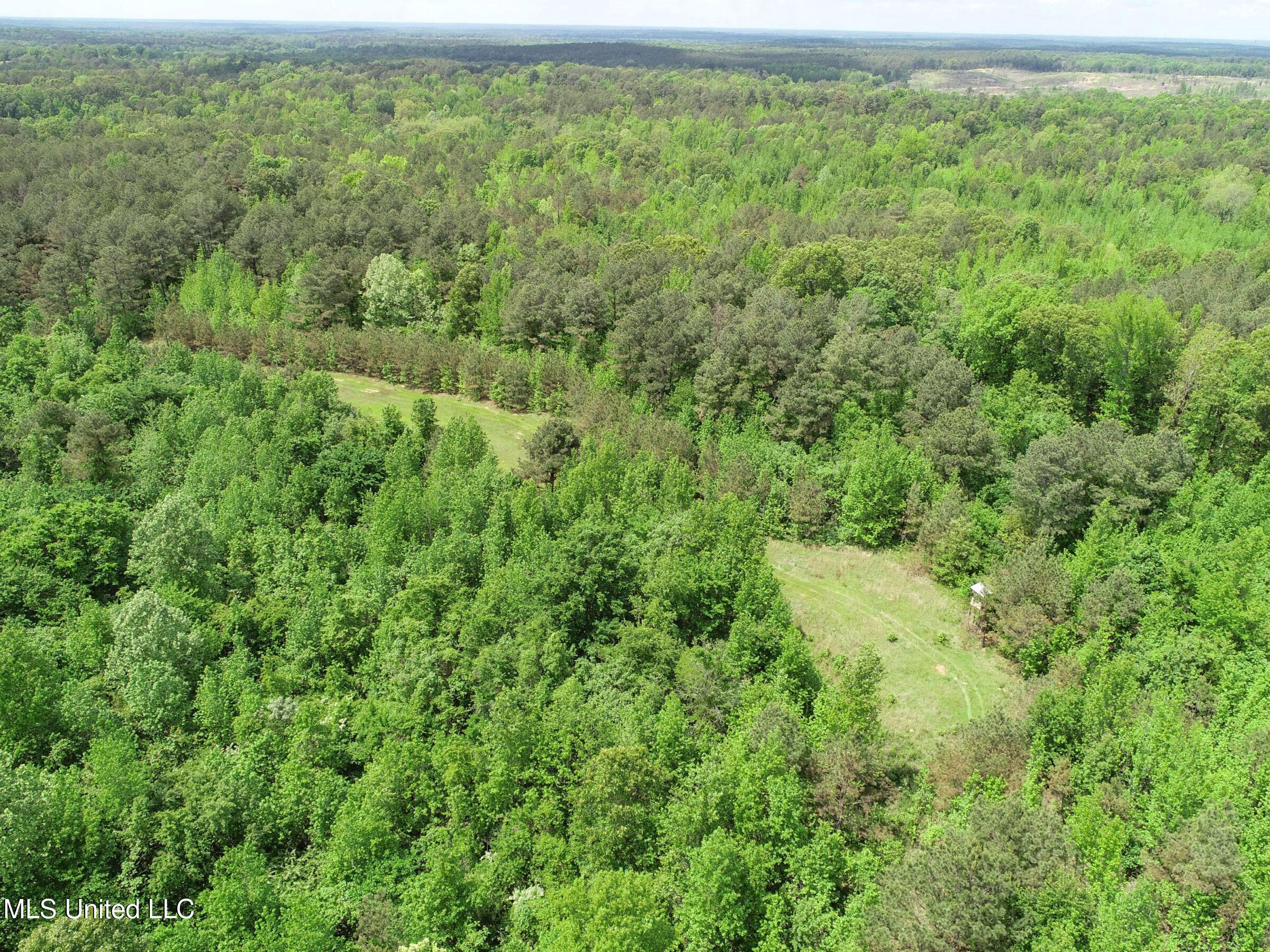 4505 Rutherford Road Batesville, MS 38606 - Photo 36 of 88 5rfdrd30