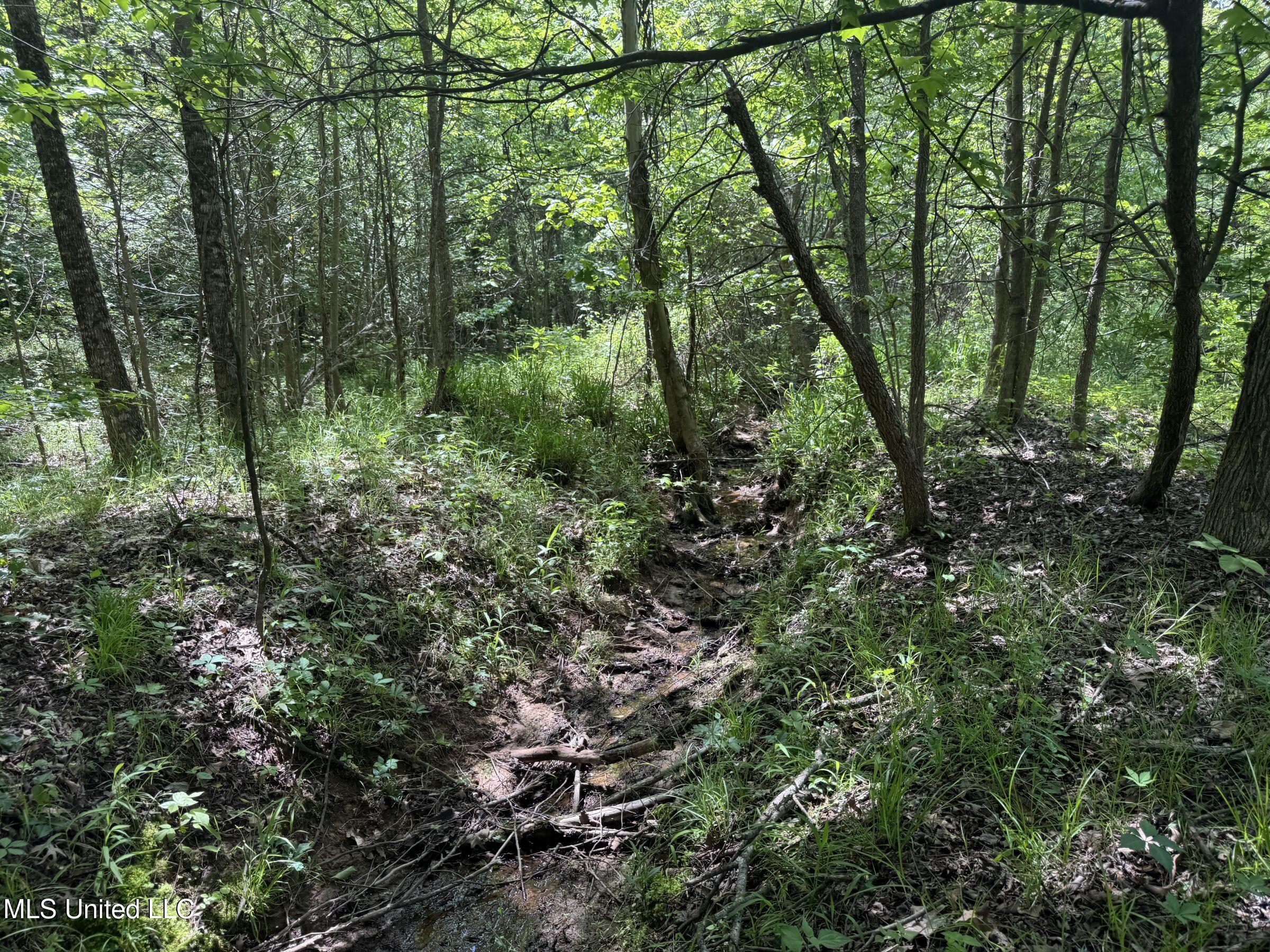 4505 Rutherford Road Batesville, MS 38606 - Photo 48 of 88 8rfdrd5