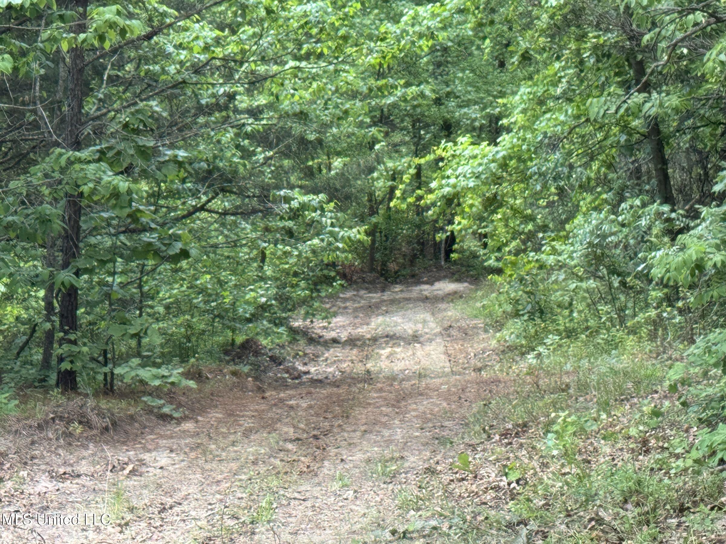 4505 Rutherford Road Batesville, MS 38606 - Photo 54 of 88 8rfdrd12