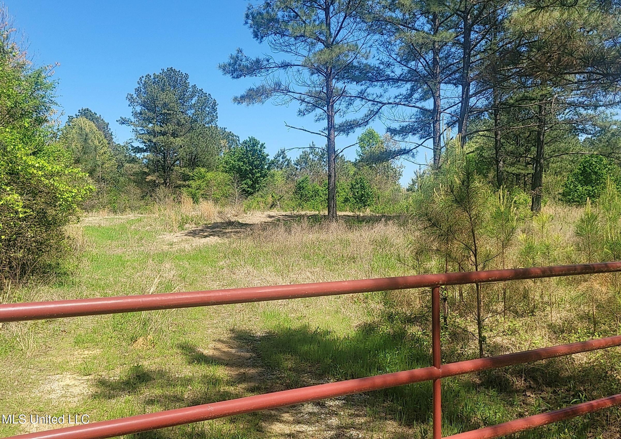 4505 Rutherford Road Batesville, MS 38606 - Photo 60 of 88 9rfdrd4