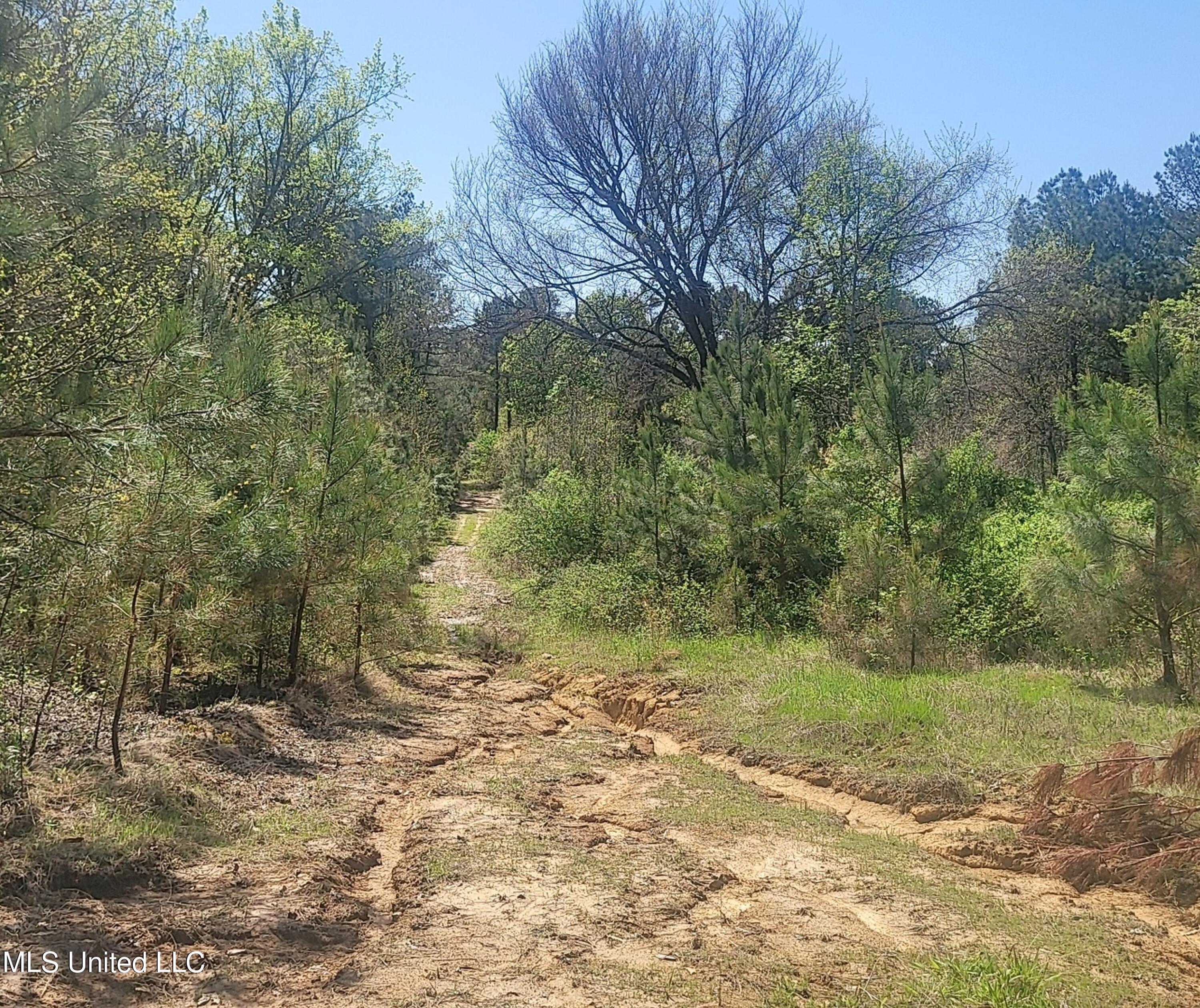 4505 Rutherford Road Batesville, MS 38606 - Photo 69 of 88 9rfdrd15