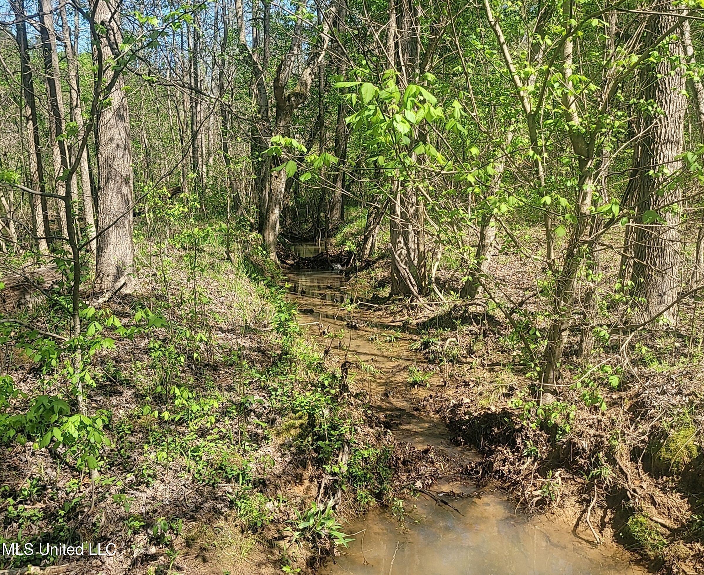 4505 Rutherford Road Batesville, MS 38606 - Photo 78 of 88 9rfdrd24