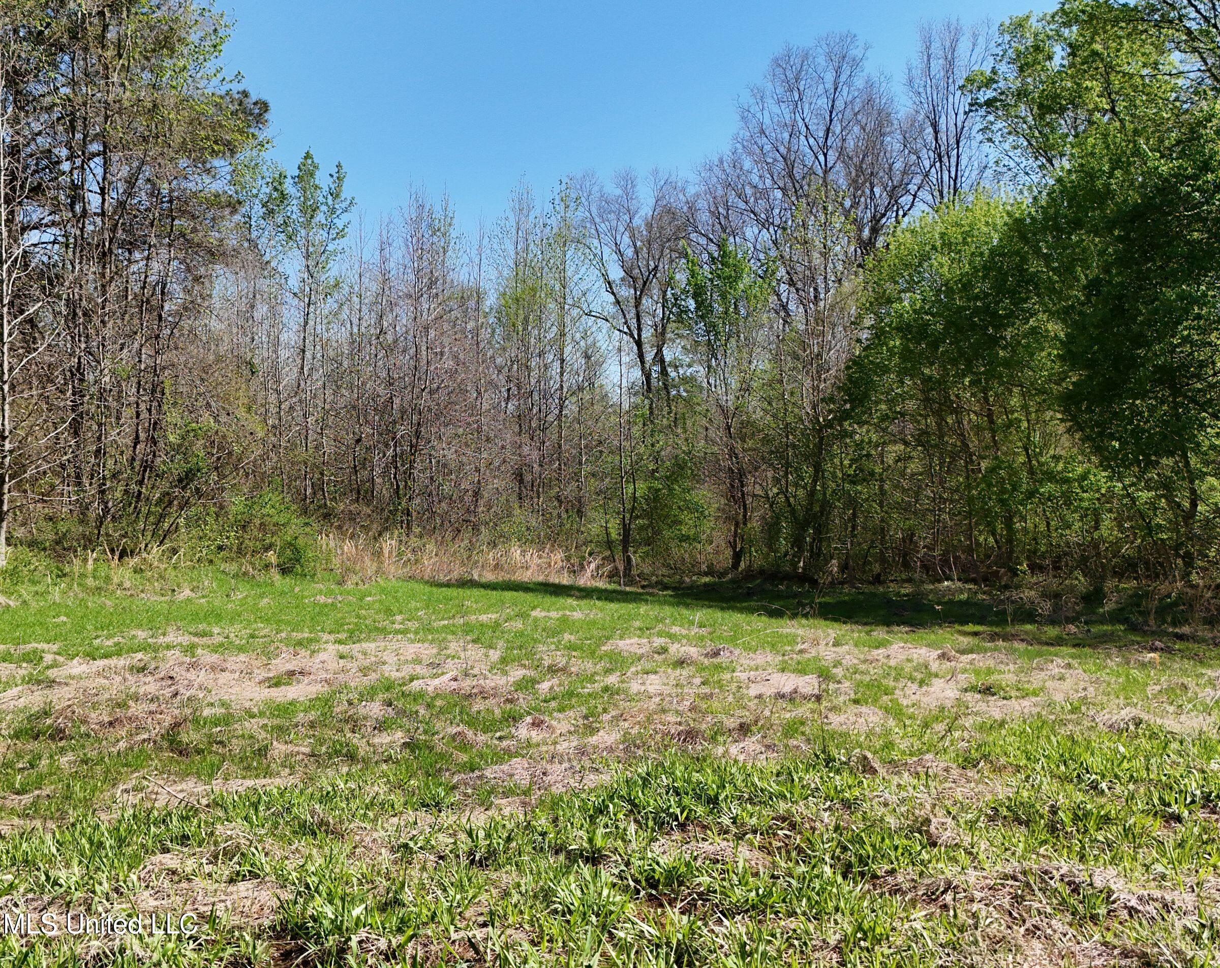 4505 Rutherford Road Batesville, MS 38606 - Photo 83 of 88 9rfdrd29