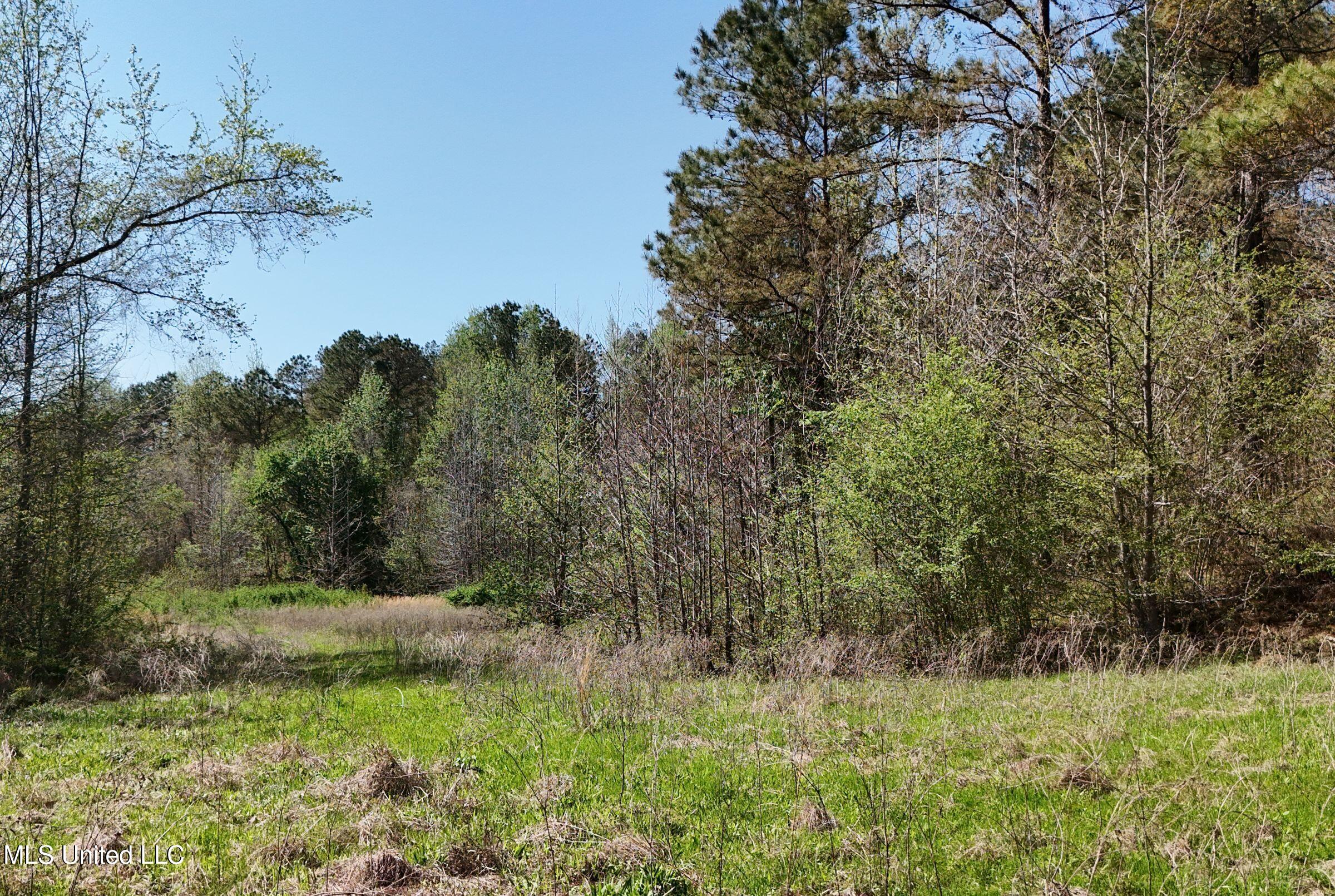 4505 Rutherford Road Batesville, MS 38606 - Photo 84 of 88 9rfdrd30