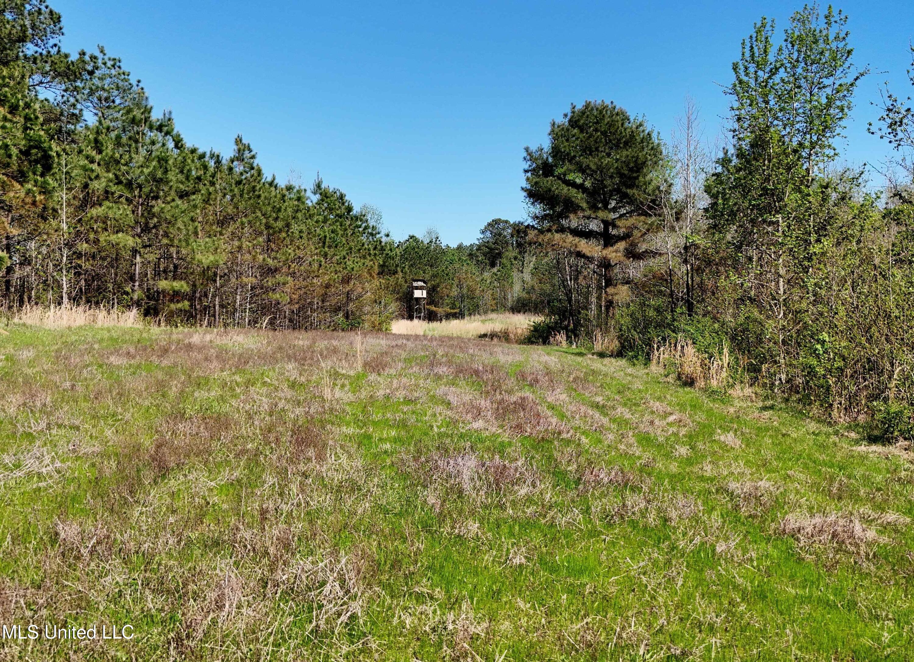 4505 Rutherford Road Batesville, MS 38606 - Photo 88 of 88 panola-35a